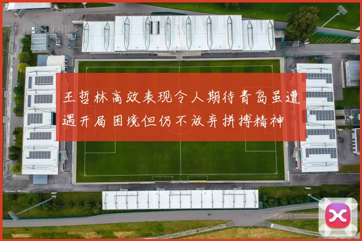 王哲林高效表现令人期待青岛虽遭遇开局困境但仍不放弃拼搏精神