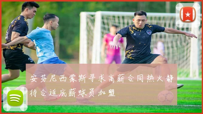 安芬尼西蒙斯寻求高薪合同热火静待合适底薪球员加盟